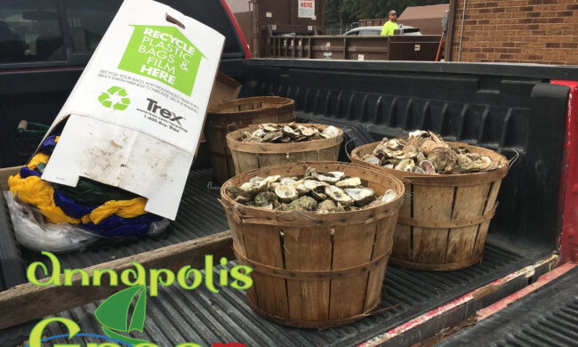 Zero Waste Bull Roast